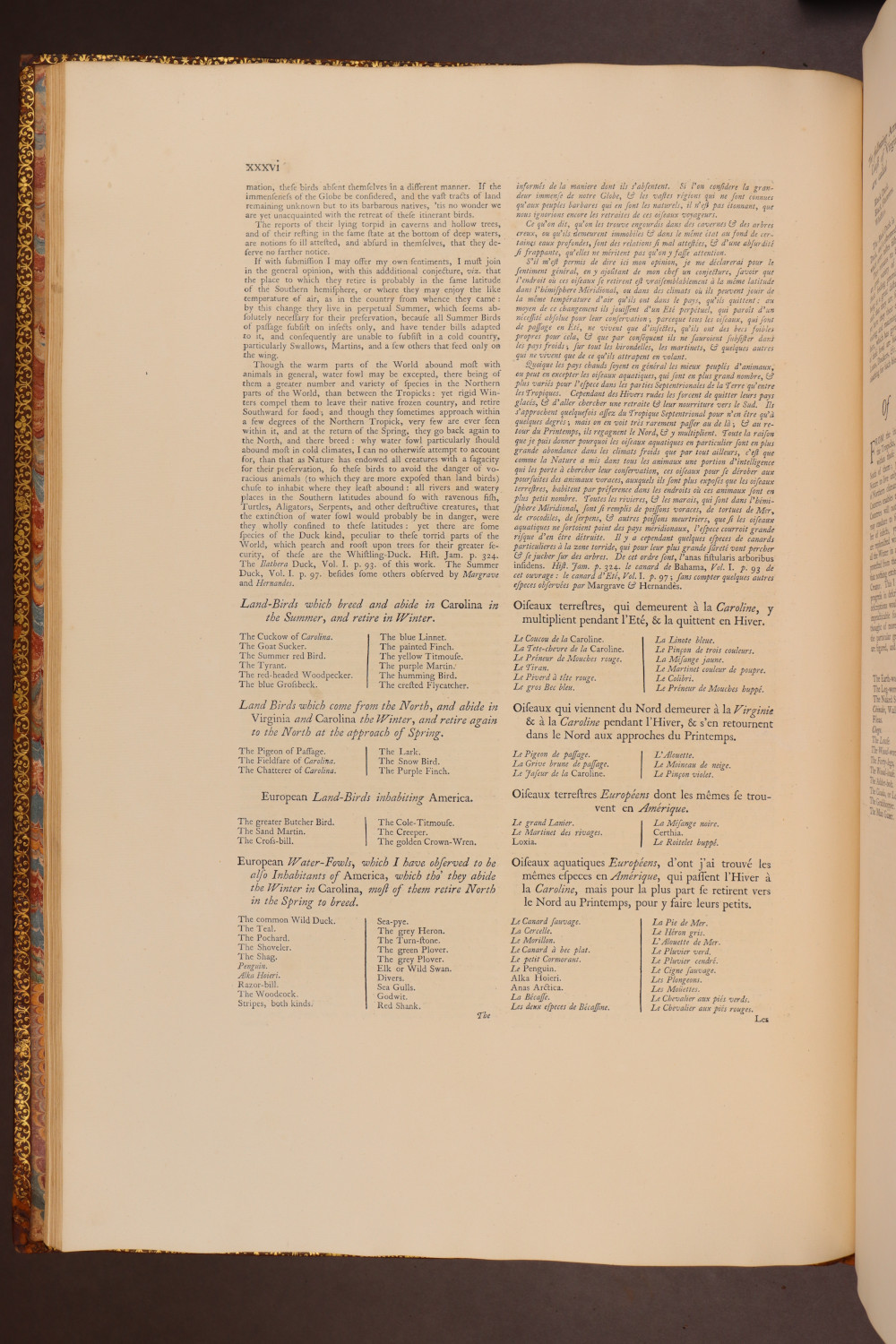 Page xxxvi